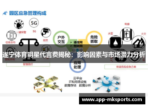 遂宁体育明星代言费揭秘：影响因素与市场潜力分析
